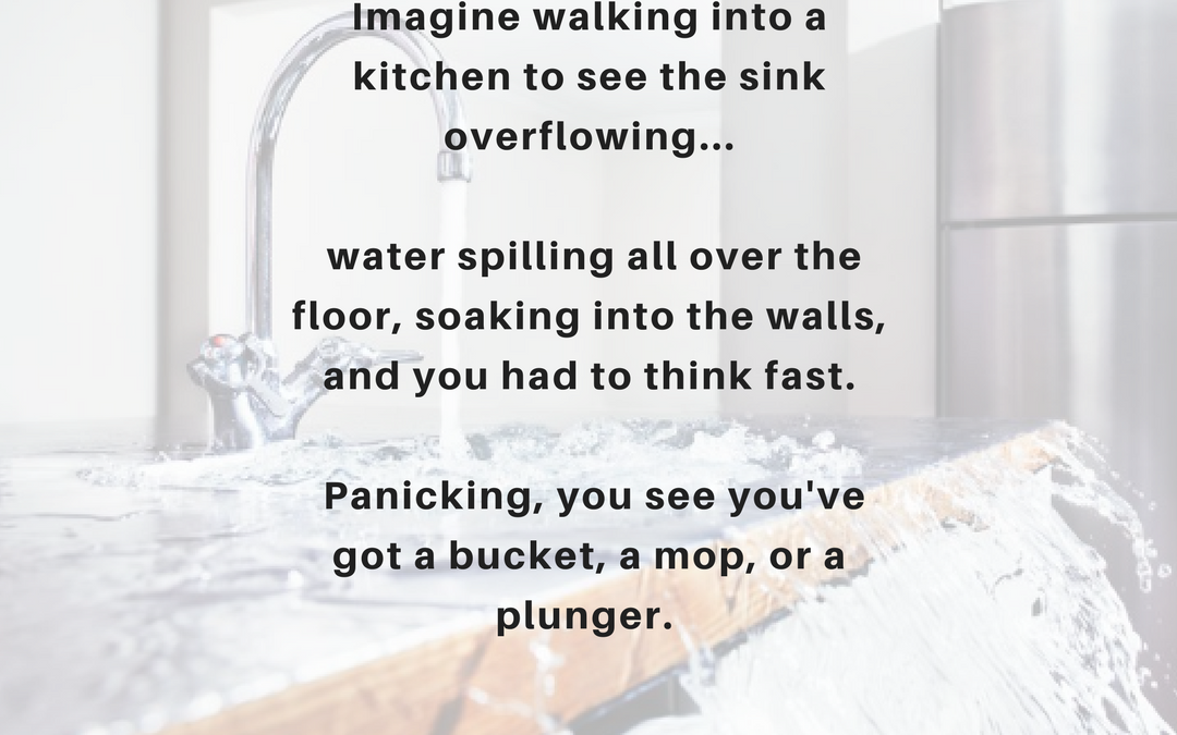 Imagine+walking+into+a+kitchen+to+see+the+sink+overflowing,+water+spilling+all+over+the+floor,+soaking+into+the+walls,+and+you+had+to+think+fast.+Panicking,+you+see+you've+got+a+bucket,+a+mop+or+a+plunger.+What+do+yo